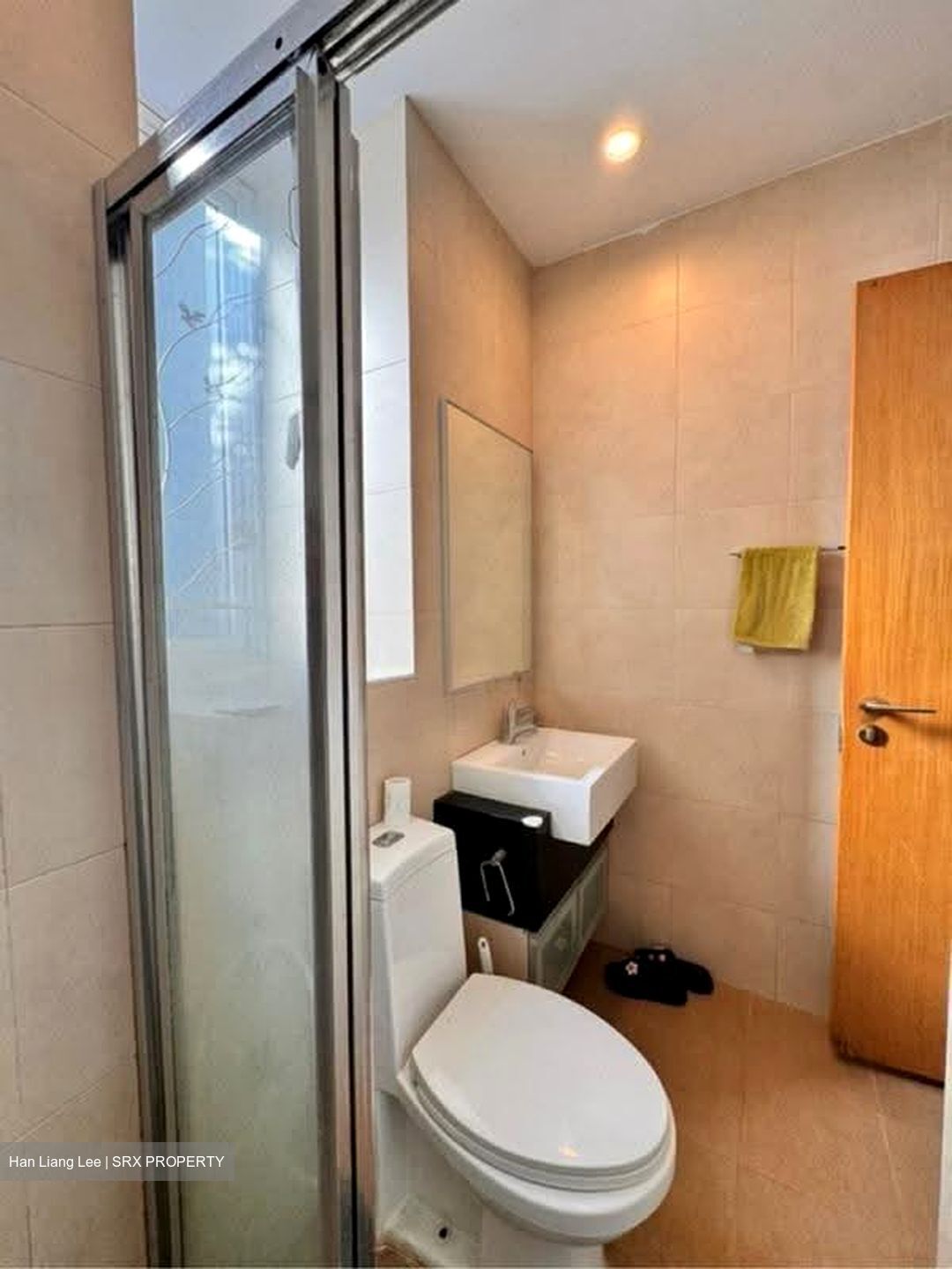 Sunshine Regency (D15), Apartment #609486331